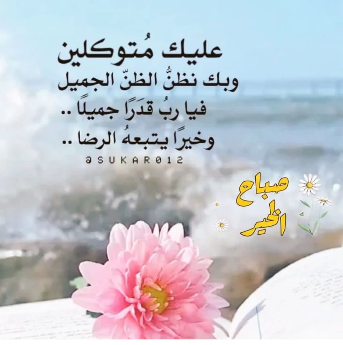 محمد ادم فتح الله البشير